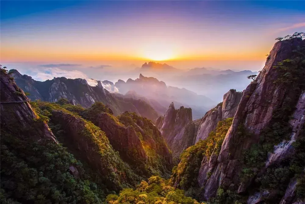 ee51f8de2c3cedc287cf02e397ecc470-sz_102263-1