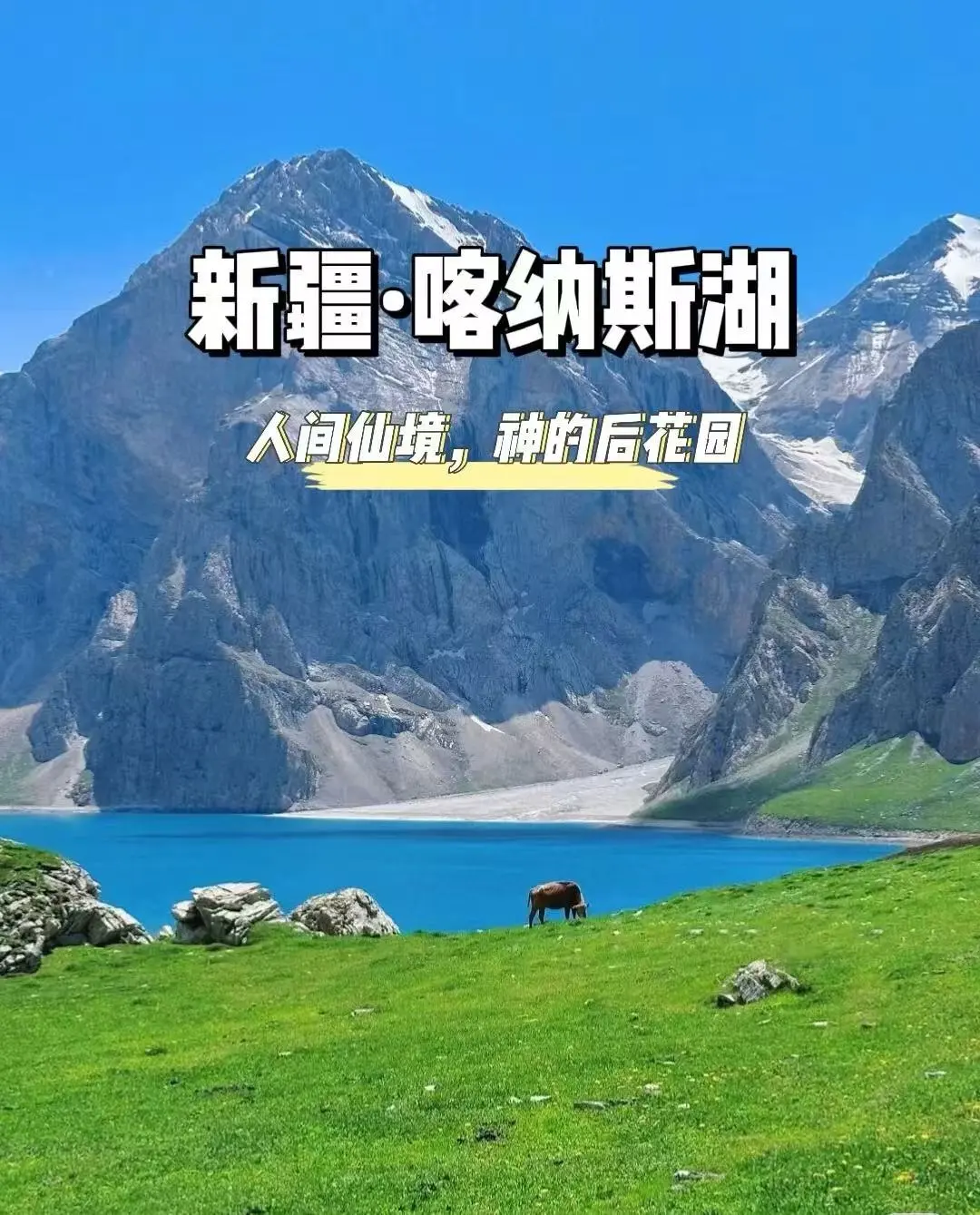 eedd7cf21b478d56a7a0f3305695d07c-sz_227602-1