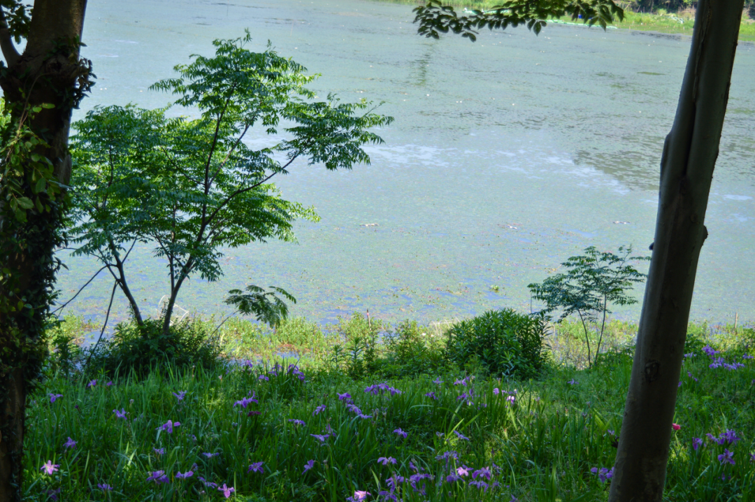 eee4751625d9255a6152f6c975429885