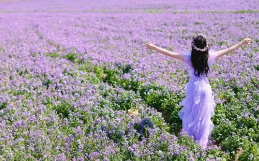 ef0ec1b35106498d7b16741512590a2e-sz_438320