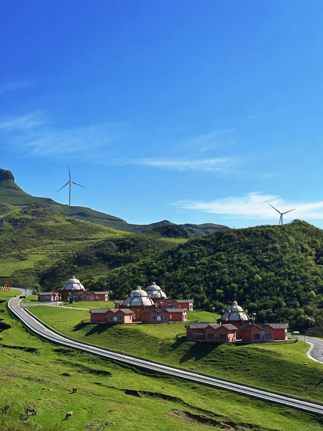 f071e1a16a51a317d0503f8315e530a6-sz_2173635