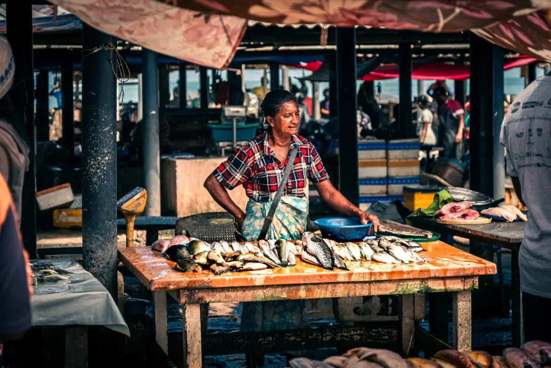 f07e085a18886a6be1085de3399e1020-sz_488432