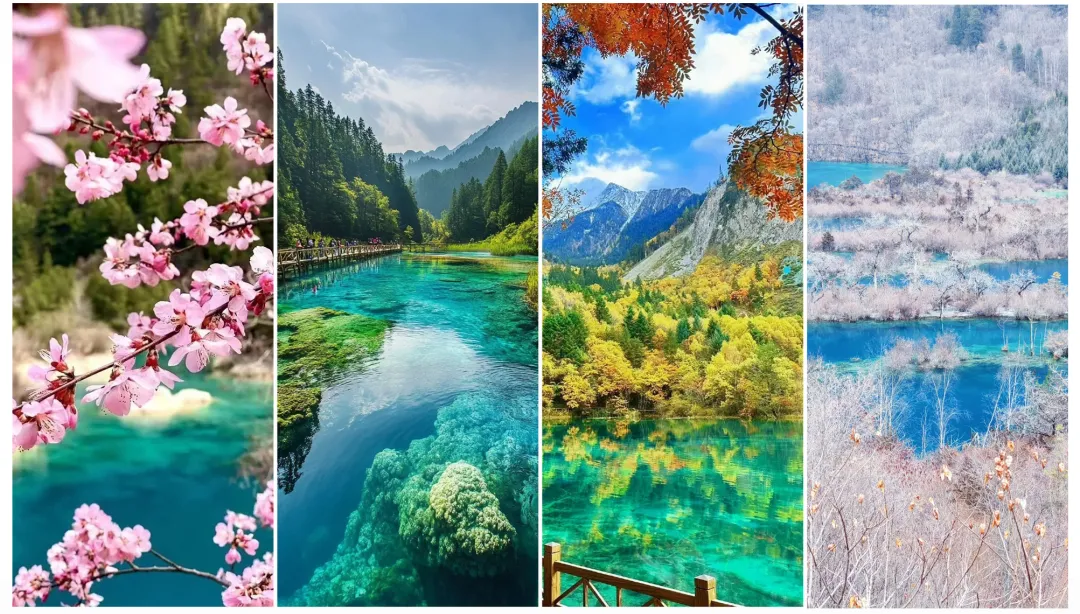 f137128db592317c4e55643cb60b267b-sz_1032363