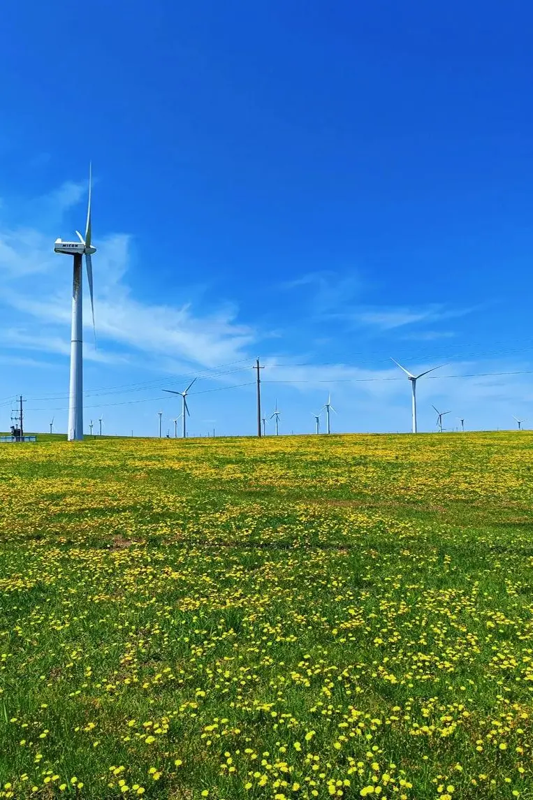 f1b3e9cc918e99a840d79cdb38bfdbd5-sz_197812