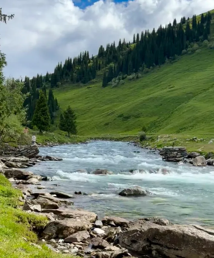 f1f676705abf5e09ab25aa8553411654-sz_1147177-1