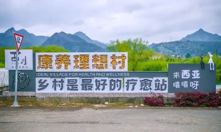 f262fdab47eb9e5c687fde05874ccb6b-sz_1217269