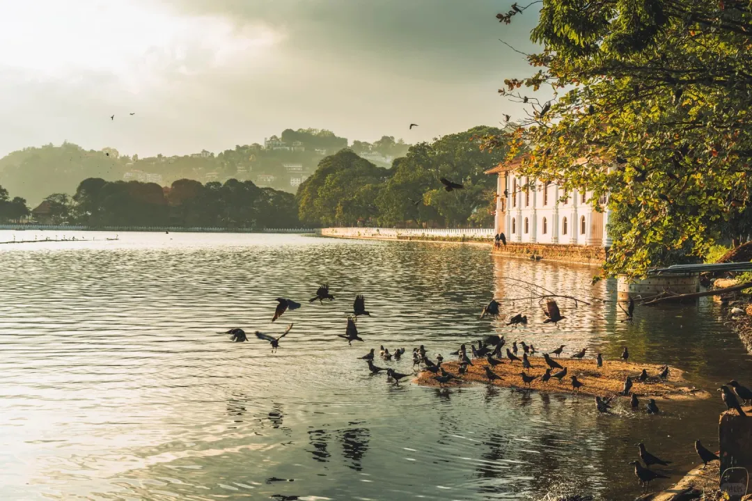 f2c9e311ab984c47f9a251cd04a92a43-sz_627116