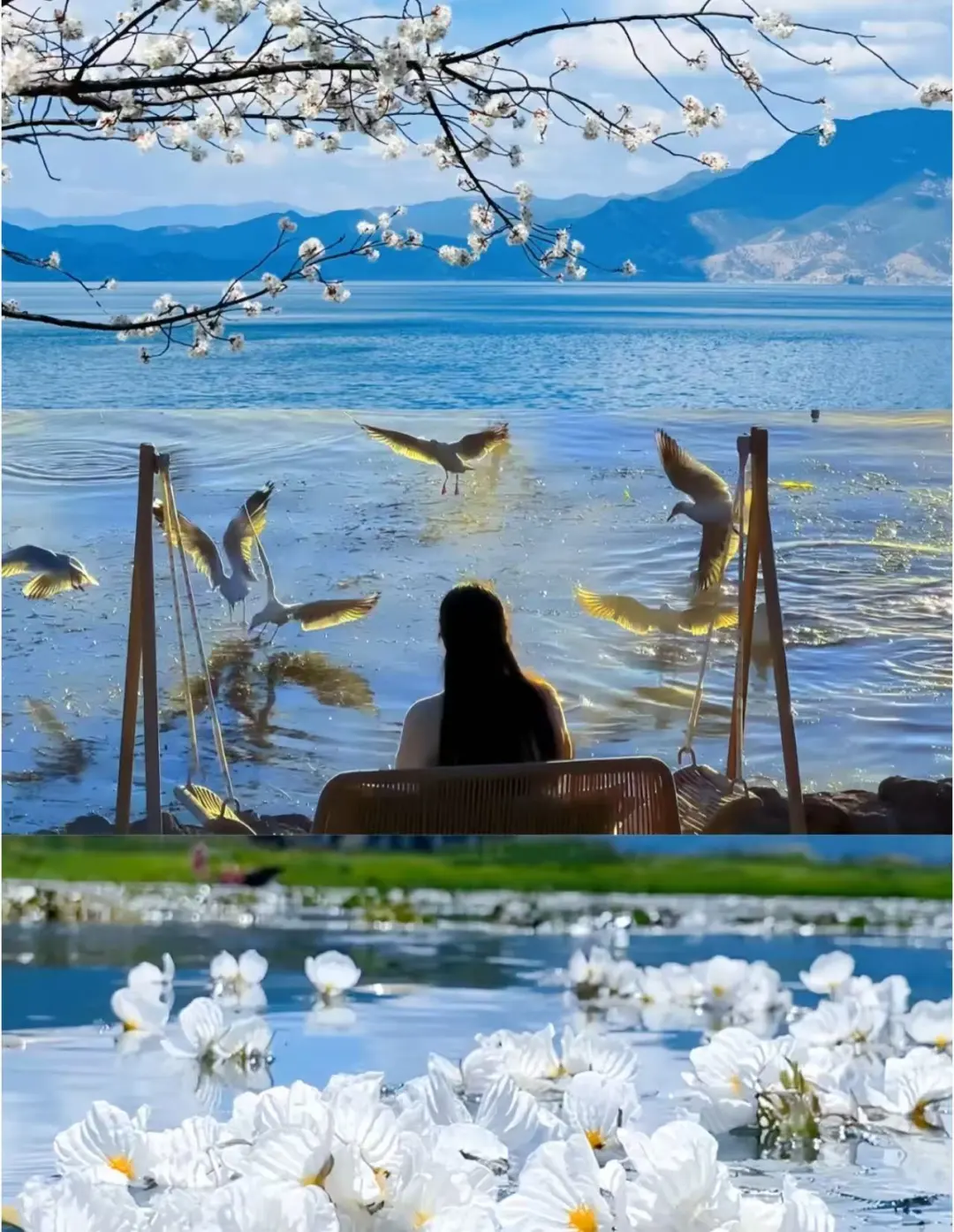 f3a1de0e1b44bb9951517aa113b8055a-sz_282453