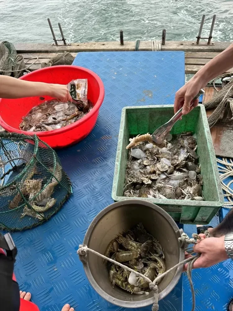 f3b452f48afee87b27568ed01ea5bee8-sz_529447