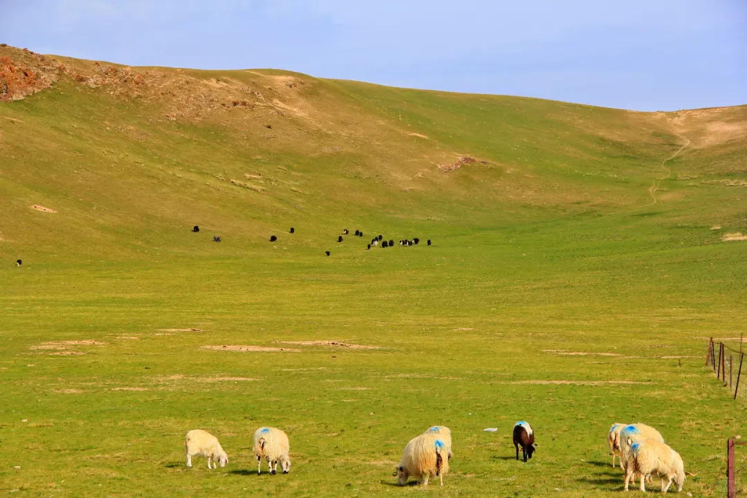 f43731fe466dec99309ccd618bffae62-sz_2693882