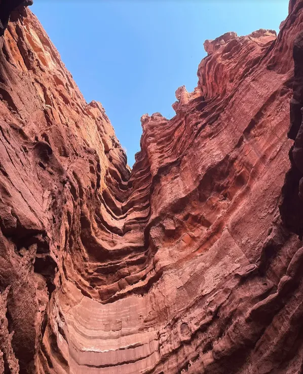 f4dfe5038a508f5f5bf0dc1d296fd114-sz_1074904-1