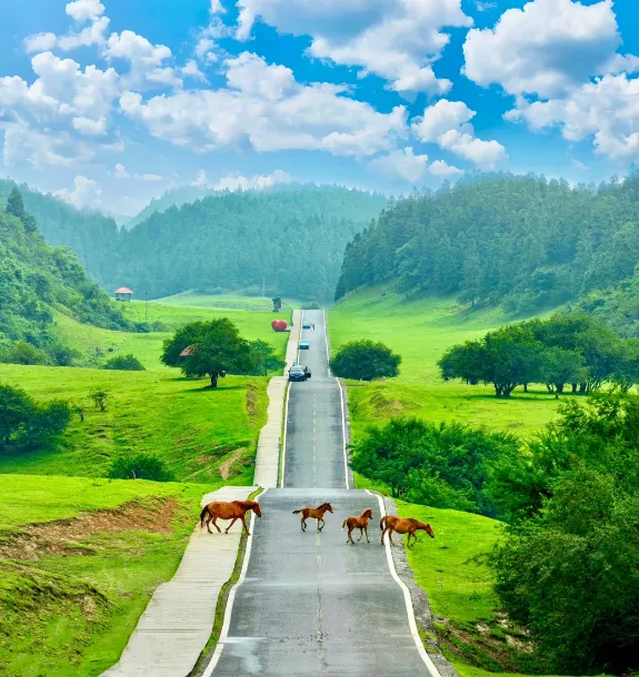 f5aa55b94f8366bafc4e6b6afa3fbc03-sz_729273