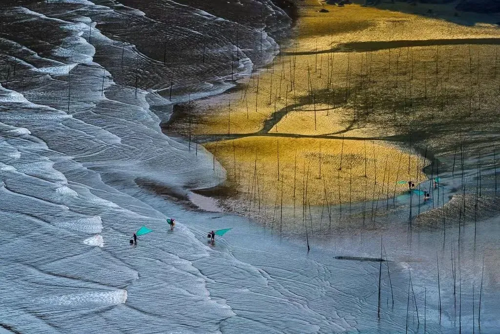 f5b77acc5ed961390b8f384c4fc32824-sz_209630