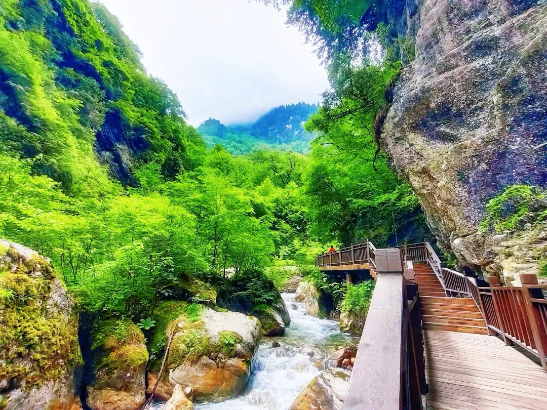 f69ab3e9ebb214abf871af7ef20c56f7-sz_2789507