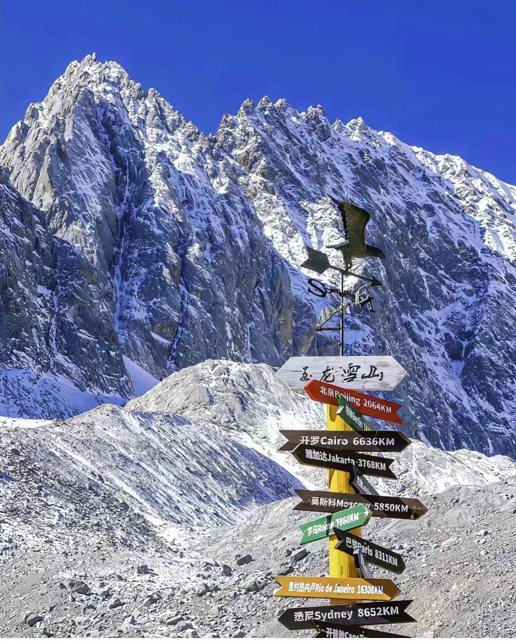 f6ea916a081aae5f71793e96a5aeea2c-sz_711905