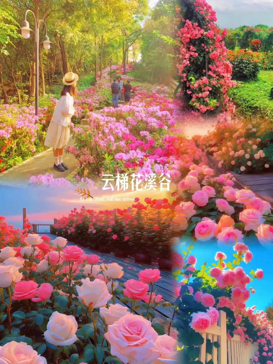 f7ae99782ec75421834fc1d8add07d64-sz_5903627