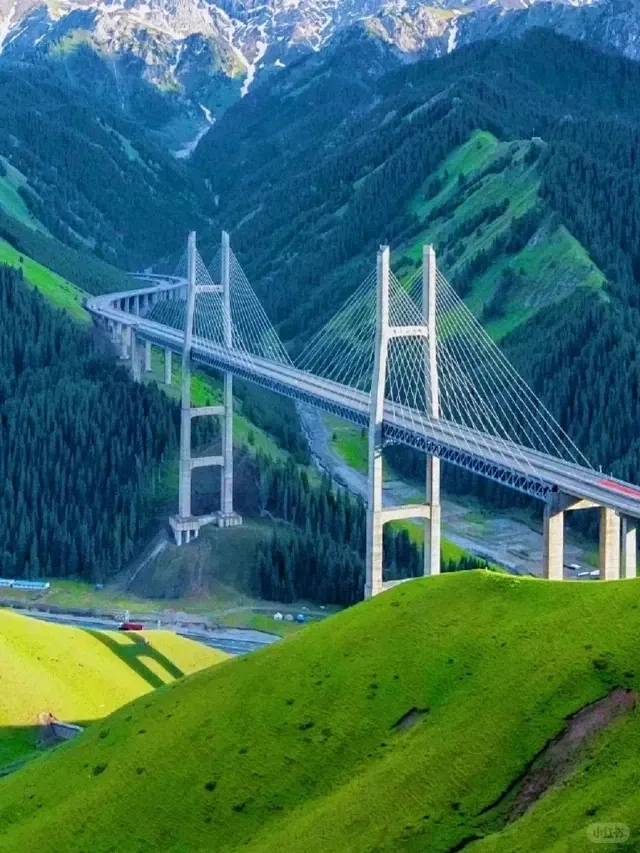 f7edc4ec36e6faf8db50d5f45af908c4-sz_974316