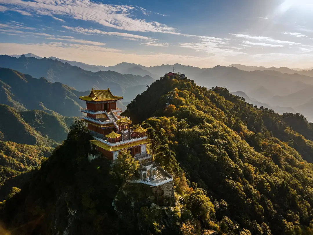 f9839982c991e2fcea6571fca063e803-sz_528543