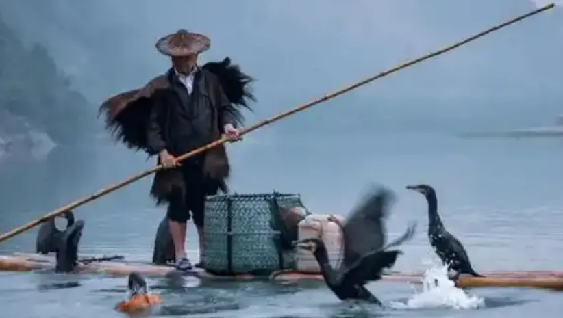 fb70a92e342477eeeb481bcd8a76e1ee-sz_305082