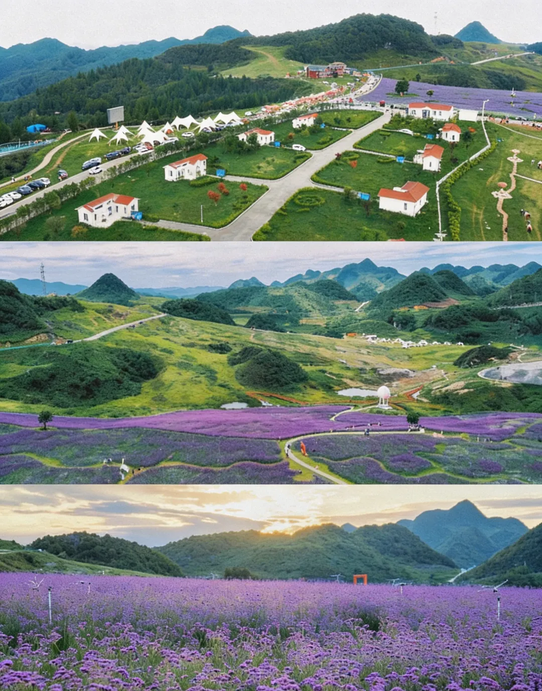 fb792d0cd96c762cbf771cb141898ec7-sz_6128764