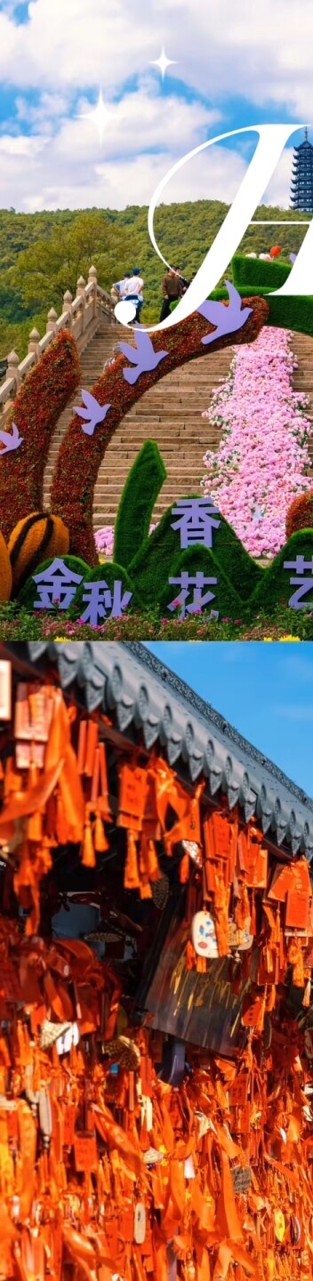 fc2ebb43e4effb5e28b6d22632d8c3fa-sz_2430132-1