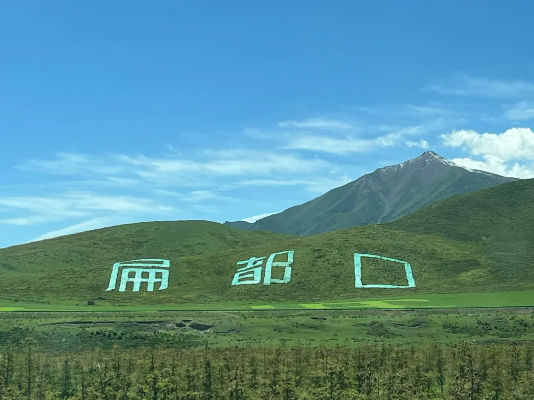 fc2f7d089b3a26353d72a20100c99d86-sz_2410055-1