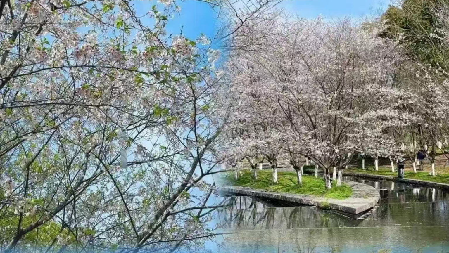 fc9f6b5a2eb7926798a62d11be047c5f