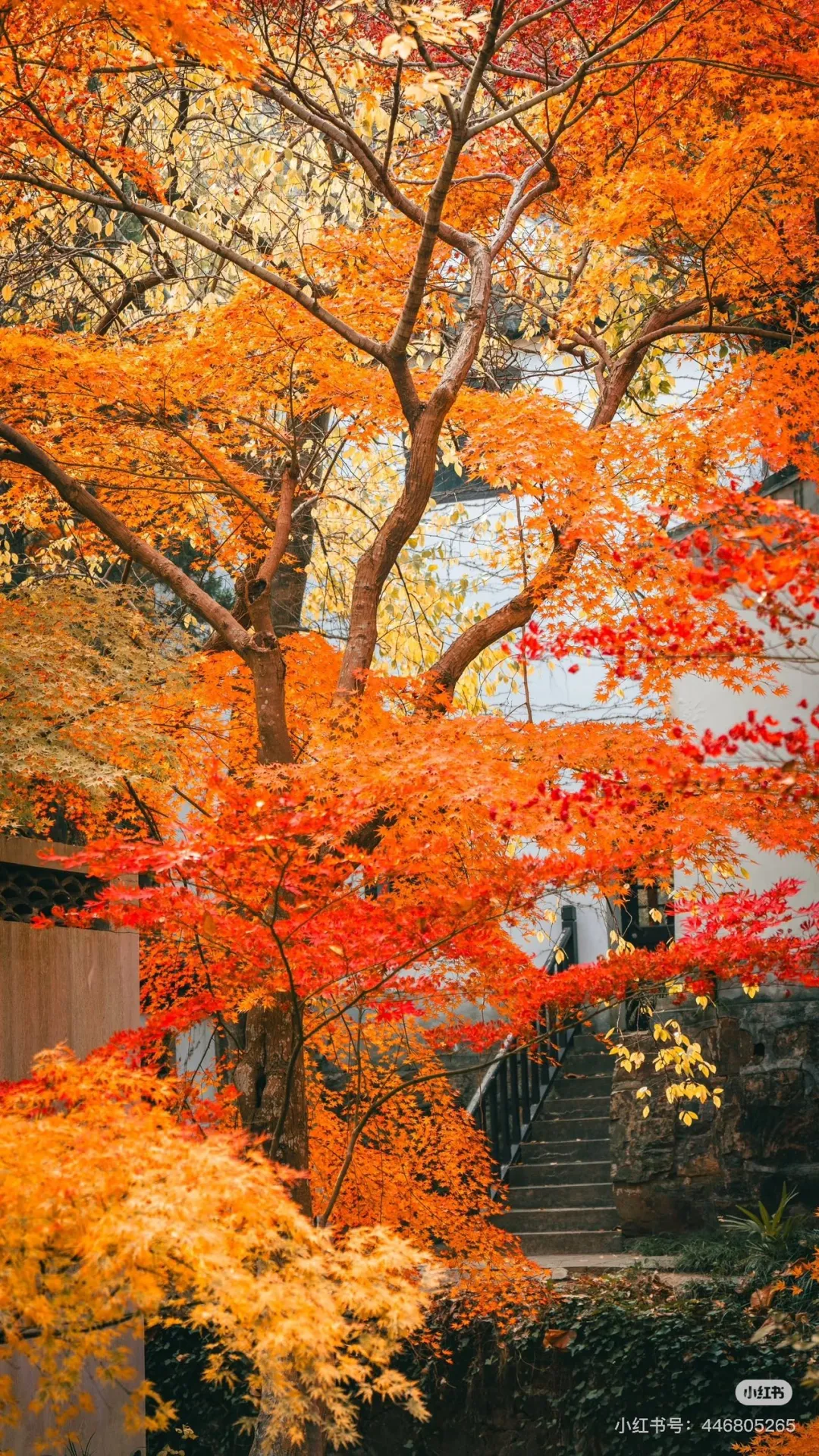 fcb8da21b2ccc0e463667d80bb1b7a87-sz_1309180