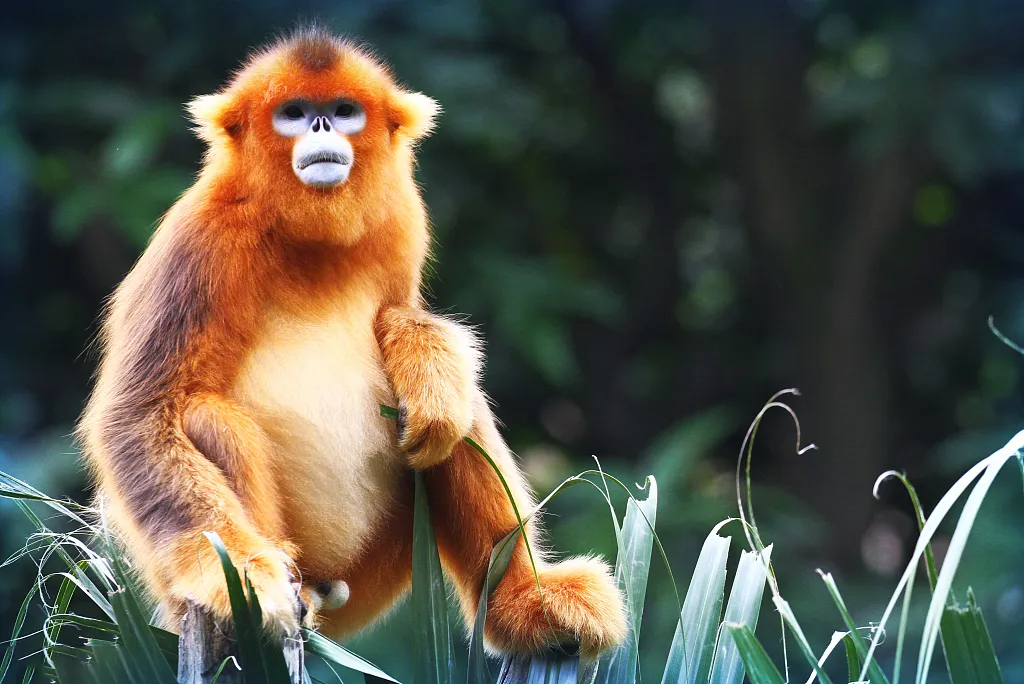 fd030ab009b81a8c918e27b98bdefa2d-sz_846304