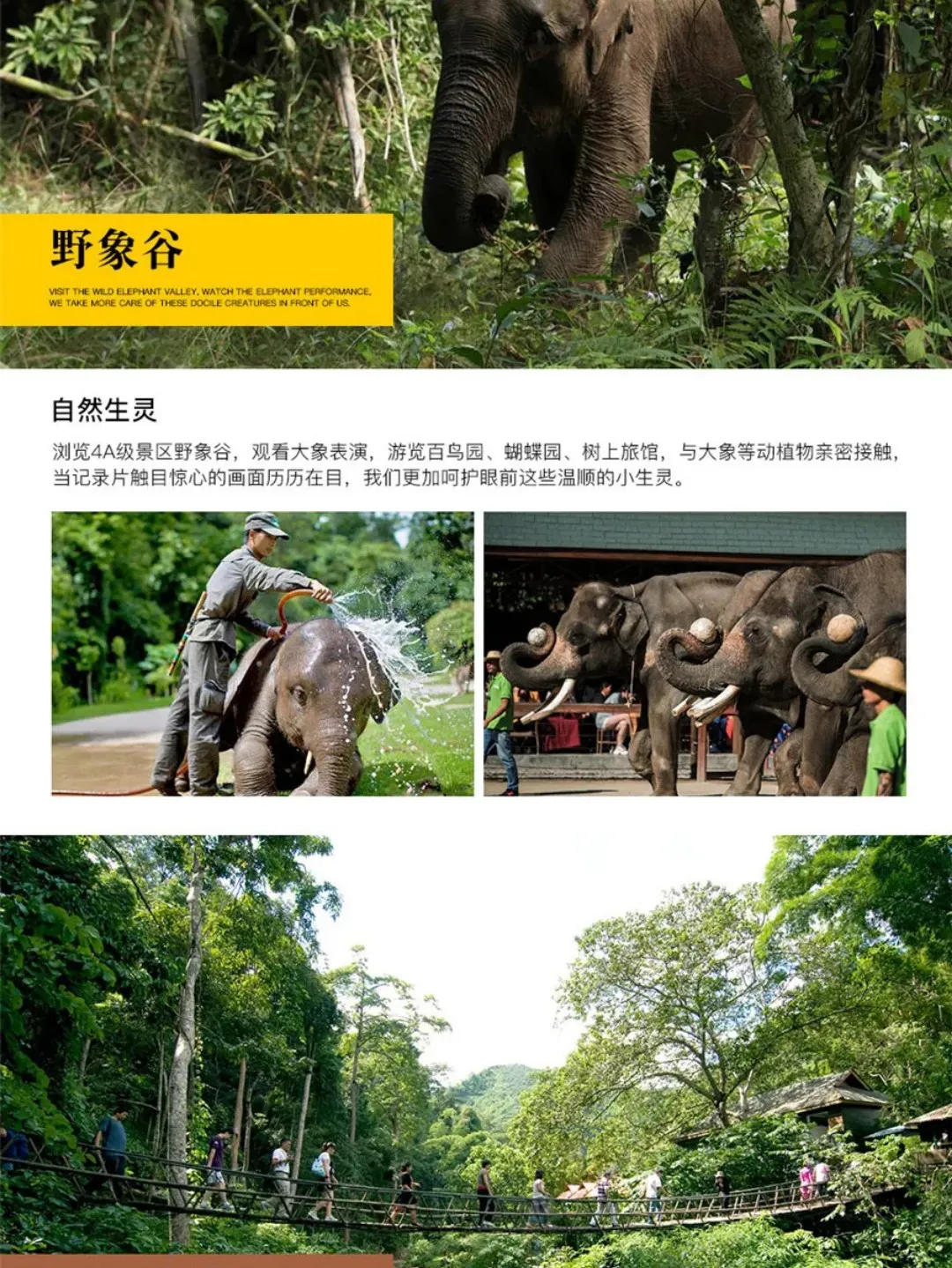 fdfb4eb86906cbfb79a20dc0353bcadd-sz_473309