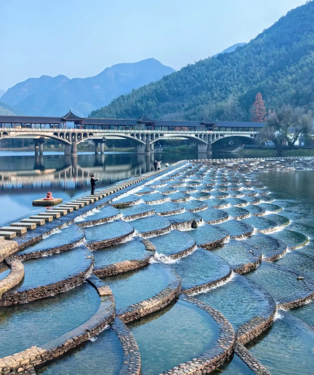 fe708c6ac1a2a0b03c2606ddc30d7d48-sz_546694