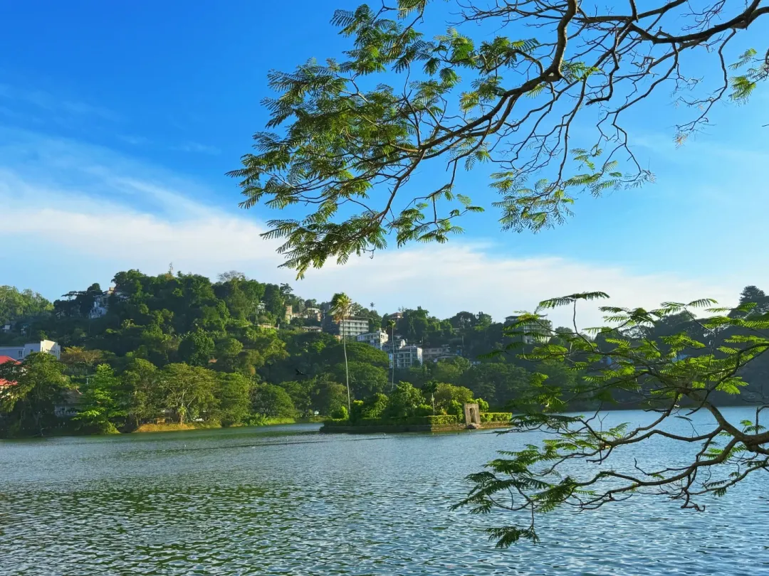 fe7f60892f1c7c7a2d116b3b3efd9520-sz_589890