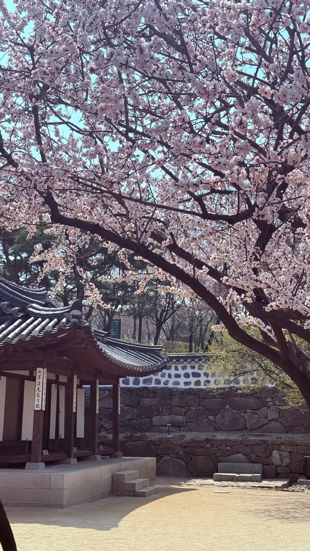 ff4dd75067e4b72be10bd88dafee9e5f-sz_4959601