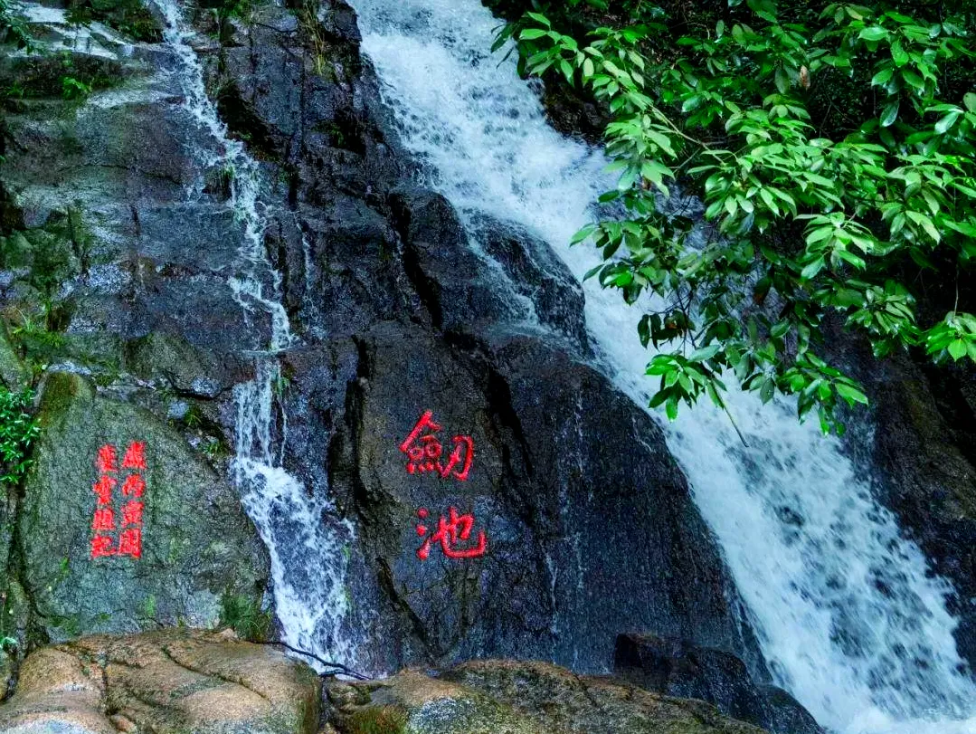 fff20efb17aaa04455c8723ad4782455-sz_3338120