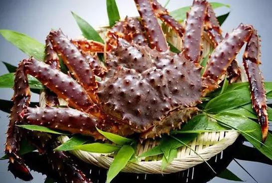 iJjlSorzYJXja1HJ8RXjXhemUWyhqQMiVUO2C07exxdEu1534561240488